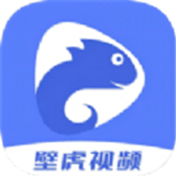 壁虎视频软件