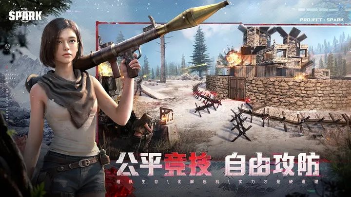 代号Spark中文版