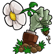 植物大战僵尸转基因版