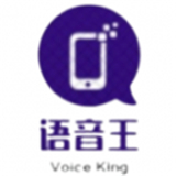 语音王播报中文版