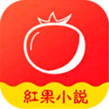 红果小说app