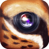 野兽相机app下载-野兽相机(WildCam)下载v1.1 安卓版