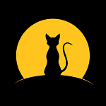 夜探app