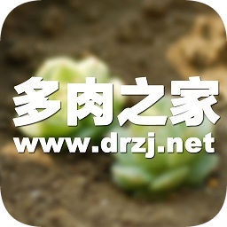 多肉之家iphone app-多肉之家ios版(暂未上线)v1.2.0 苹果手机版
