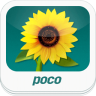 POCO照片app-POCO照片(暂未上线)v1.2.1 安卓版