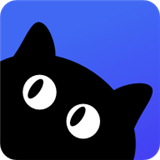 新媒猫