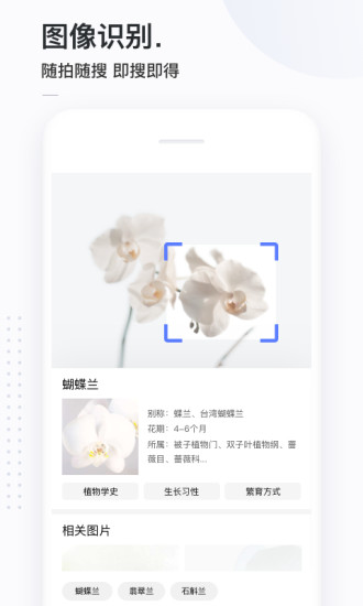 简单搜索app