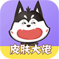 皮肤大佬