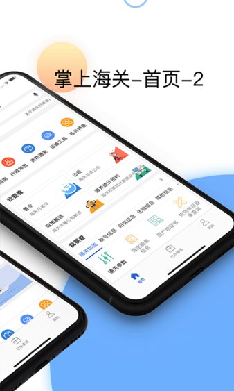 掌上海关app