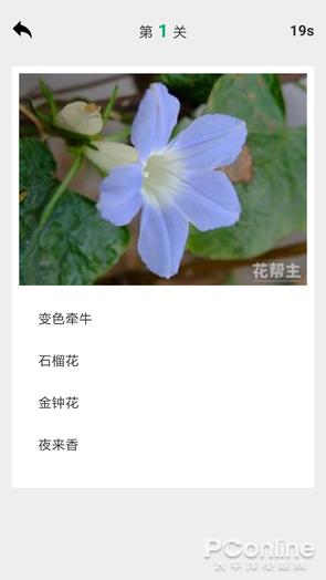 拍照识花App 花朵识别