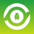 村知了app