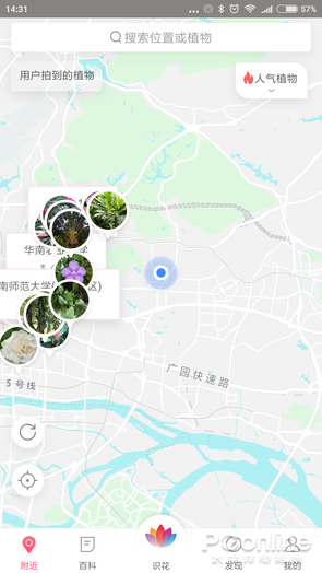 拍照识花App 花朵识别