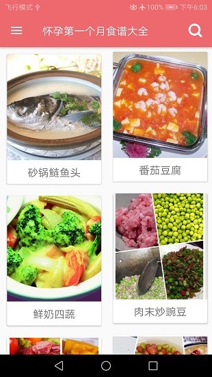 孕妇营养食谱软件