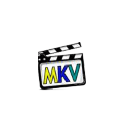 mkv播放器手机软件