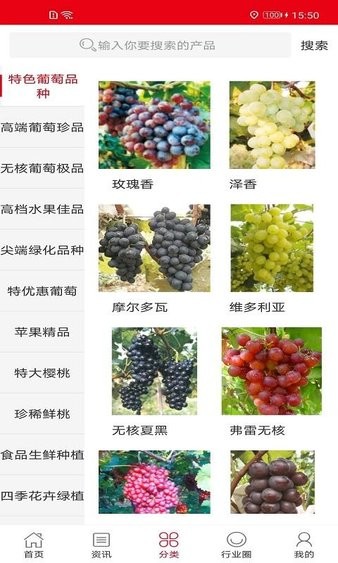 中国果树官方版