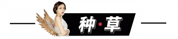 这几款小众APP千万别被别人知道！拥有2个以上就能称霸朋友圈......