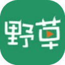 野草社区污破解版
