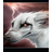 屏幕截图录像软件下载-ThunderFox(载|屏幕截图录像)下载v1.0.0 绿色免费版
