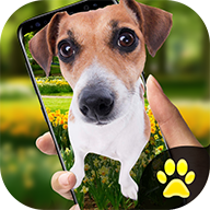 idog app