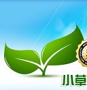 小草软路由最新修改版下载-小草网管软路由修改版下载v3.0.52.2.6 免费版