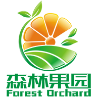 森林果园手机版下载-森林果园下载v1.0 安卓版