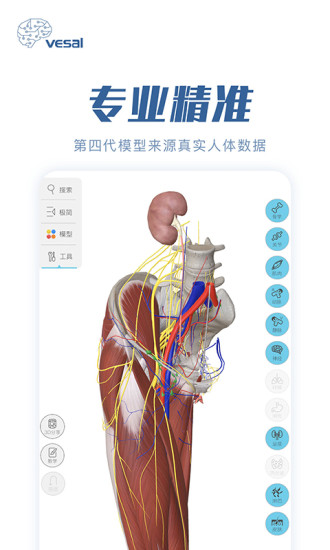 解剖大师app