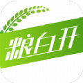 粮白开