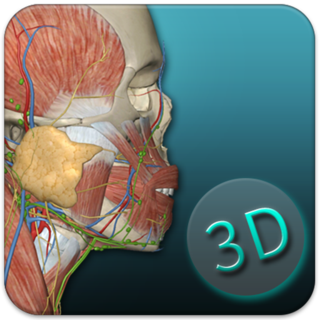 3D人体解剖学图集app