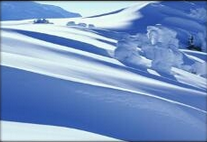 新雪地大逃亡3.2-新雪地大逃亡下载正式版-新雪地逃亡死神来了