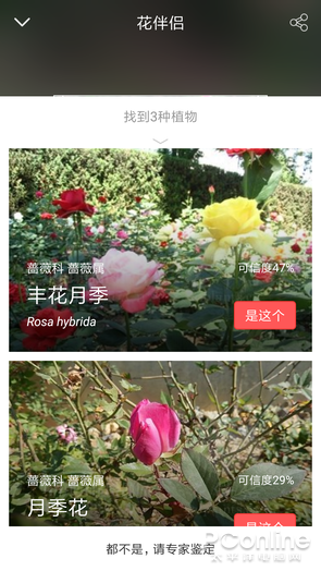 拍照识花App 花朵识别