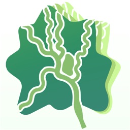 津津通app官方最新版 v1.3.4安卓版