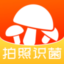 菌窝子app拍照识菌软件 v2.0.45安卓版