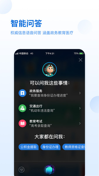 智通城app