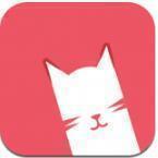 新版猫咪3.0.1赚钱版