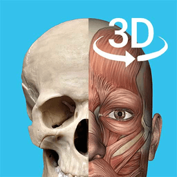 3d人体解剖学三维图谱软件下载-3d人体解剖学三维图谱app下载v1.3 安卓版