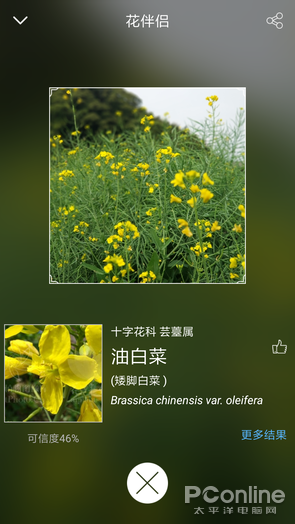 拍照识花App 花朵识别