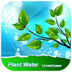 植物水波壁纸app下载-经典植物壁纸合集下载v1.0 安卓版