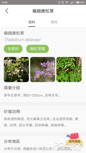 拍照识花App 花朵识别