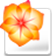 ai cs2 绿色精简版下载-adobe illustrator cs2 绿色版下载v12.0 简体中文版-附序列号
