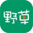 野草在线影院