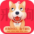 来狗app