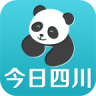 今日四川app下载-今日四川手机客户端下载v1.0 安卓版