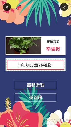 拍照识花App 花朵识别