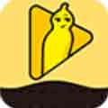 香草视频app