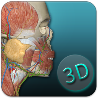 human anatomy atlas 2021版(人体解剖学图集)