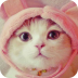 猫咪锁屏壁纸下载-喵星人占领地球可爱锁屏下载v1.5 安卓版