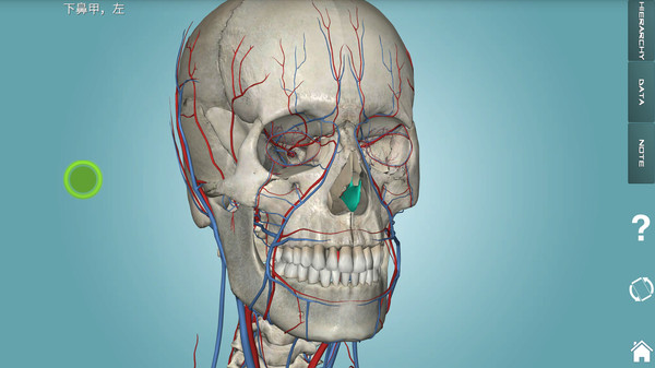 human anatomy atlas手机版