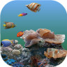 3D海底世界动态壁纸app下载-3D海底世界动态壁纸手机壁纸下载v6.4 安卓版