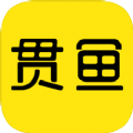 贯鱼APP