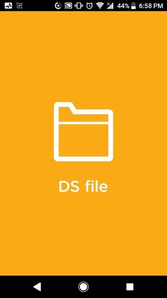 ds file app